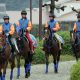 武豊騎手「10戦だけで地方リーディングトップ10入り」も、地方と中央の「格差」と切ない現状を露呈……