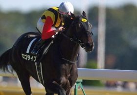 【G1回顧・安田記念】モーリス敗れる！ 職人田辺裕信の『信頼』と『技』が光った府中のマイル決戦は、古豪ロゴタイプが復活勝利!!