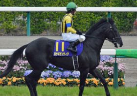 目指すは「マイル王」か「電撃王」か……伝統のレース・京王杯スプリングC（G2）に今後の短距離界を占う「超新星」が集結！