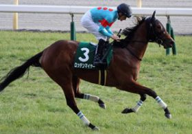 【徹底考察】オークス（G1）　ロッテンマイヤー「忘れな草賞経由の女王は過去に4頭。超良血馬は昨年のミッキークイーンに続けるか」