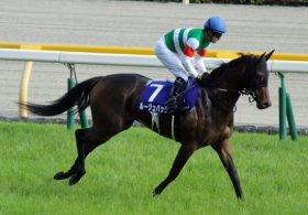 「強奪屋」戸崎圭太は何故ルージュバックだけ乗り続けるのか「エージェント制度の寵児」と謳われる3年連続リーディング騎手の「責任」と「信念」