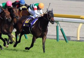 【徹底考察】ヴィクトリアマイル（G1）　ルージュバック＆シュンドルボン「超スローの中山牝馬S（G3）は『本番』につながるのか」