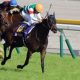 3年連続10万馬券!荒れに荒れまくるマーメイドS(G3)高配当の「鍵」を握るのは、去年も激走した前走あのレース!