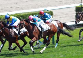 NHKマイルCルーカスに勝負気配!?　名騎手に好枠、そして調子は上々