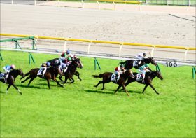 C.ルメール騎手「チャンピオンになれる馬」吉田勝己氏「最高」レイデオロとの「兄弟ダービー制覇」を目指し、全弟レイエンダが「満点」デビュー！