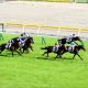 神戸新聞杯(G2)レイデオロは本当に強いのか。歴史的超スローを神騎乗で勝った”謎”のダービー馬が「100%馬券」の最強データ破る?