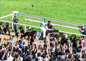 レイエンダ骨折で来年クラシックは……兄レイデオロと同じく体質が弱いのは血筋？