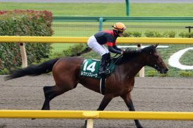 JRAダートの怪物「強行軍」にM.デムーロ騎手が漏らした不安……萩原清厩舎「2度の失敗」と掴みたい3度目の正直