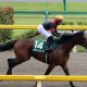 JRA「遅れてきた超大物」はオーナーも大物揃い!? ブエナビスタ草野仁、アルアイン山本昌「神の相馬眼」で大成功続きの著名人が太鼓判!