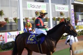 JRAチャンピオンズC（G1）は「三連単3点」でOK!? 有力情報が導く「鉄級」の勝負馬とは