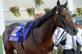 JRAチャンピオンズC「6年連続1番人気敗退」ルヴァンスレーヴとデムーロ「超不安要素」も同時発見……