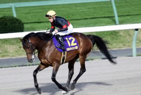 JRAチャンピオンズC（G1）ルヴァンスレーヴに「超強力」サイン!? 「紅」高畑充希来場でアノ有力馬に激走の気配？