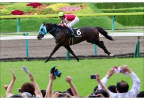 JRA障害王オジュウチョウサン次走「宝塚記念（G1）」濃厚!? 中山グランドジャンプ4連覇達成で「ファン投票」出走に大きく前進！