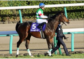 JRA皐月賞（G1）サートゥルナーリアは〇番手！ 有力「現場ネタ」から「穴馬券」を狙い撃ち!!