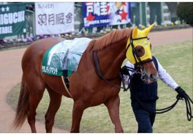 JRA「大本命」川田将雅ダイヤモンドS（G3）タガノディアマンテにプラス材料山積み!? 驚異オルフェーヴル産駒の長距離実績