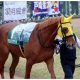JRA川田将雅「ポツン」で単勝2.1倍タガノディアマンテ惨敗……ダイヤモンドS(G3)1番人気も「競馬になってない」