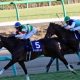 JRA福永祐一「大外枠」からドン詰まりに悲鳴殺到!? 京都金杯(G3)ロードクエスト「ノーステッキ」で13着大敗……