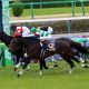 JRA毎週36R全部馬券買って数十年! 週刊プロレス元編集長・ターザン山本が語る”エクスタシー”競馬論