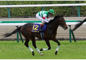 JRAルメール「サートゥルナーリアの実力」に疑問？ 「落ち着いて」冷静態度にアーモンドアイとの違いが？