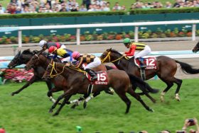 JRA札幌記念「事件」に現地ザワつく……「終わったはず」古豪サウンズオブアース「復活」の大激走に驚きの声