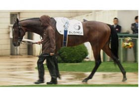 「つ、強すぎる……」日本ダービー”断然候補”サトノダイヤモンドが抱える「大きすぎる不安」とは