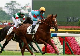 JRA「レイデオロ弟撃破」サリオスに「ダノンキングリー級」評価!?　怪物リアアメリアら大器続々……「アーモンドアイ軍団」が開幕新馬ジャック!!