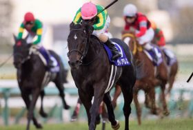 サトノアレスがスプリングS（G2）からクラシックの主役を見据えて始動。未だベールに包まれた2歳王者の「実力」は