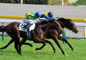 【徹底考察】菊花賞（G1） サトノダイヤモンド「まさかの辛勝だった神戸新聞杯を徹底解剖。無冠の大器はC.ルメールの手腕で『淀の長丁場』を乗り越えられるのか」