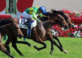 サトノダイヤモンドの阪神大賞典（G2）圧勝は必然か。過去「最強馬クラス」の”領域”に足を踏み入れた現役王者の「期待値」