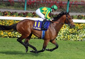 サトノダイヤモンドが大阪杯回避!!　マカヒキ、キタサンブラックとの「頂上決戦」は先延ばしに……