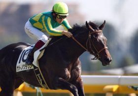 「雨よ来い！」実は大物・サトノクラウンに大チャンス!? 馬場適性で一気の逆転も驚けない戦跡