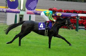 【徹底考察】大阪杯（G1）サトノクラウン「週末の晴れ予報で”終了”？アッと驚く勝利と不可解な大敗を繰り返す『よくわからない馬』を徹底検証」