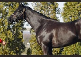 【徹底考察】宝塚記念（G1）　サトノノブレス「鳴尾記念快勝は、昨年覇者と同パターン。『新必殺ローテ』確立には”阪神マイスター”の力が必須！」