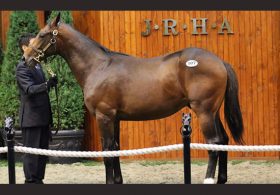 里見治氏、サトノダイヤモンド以上の「最終兵器」が今年デビュー！ 驚愕の落札価格とこの時期恒例の「化け物」