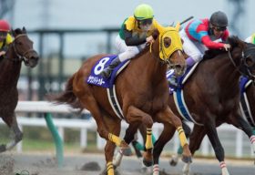 チャンピオンズC（G1）「連覇」を確信!? サウンドトゥルーの「宴会パワー」にご用心