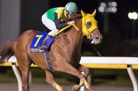 「ハマりましたね」豪脚一閃！チャンピオンズC（G1）は伏兵サウンドトゥルーが「異次元の末脚」で突き抜ける！武豊騎手とアウォーディーはゴール線前戴冠スルリ……