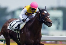 最近は馬主のほうが目立つが……スプリンターズS（G1）で春王者セイウンコウセイ「前走度外視」の強み？