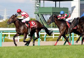 【重賞展望セントウルS（G2）】春の短距離王ビッグアーサーが始動！「長期政権」確立に向け、まずは「シルクロード」の借りを返す！