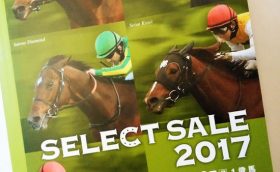 キタサンブラック血縁も……セレクトセール2017の注目馬は？ いきなり落札価格2億6000万円の衝撃！今年も億超え続出