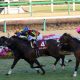 JRA阪神大賞典(G2)戸崎シャケトラ「不安は僕だけ」”自虐ネタ”炸裂で5馬身圧勝! 遅咲きの大器が重賞連勝で「完全復活」
