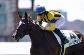 武豊2018年「G1初勝利」は阪神JF（G1）シェーングランツで!? 姉ソウルスターリングを超える末脚が「弱点」になる理由