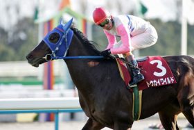 日経新春杯・京成杯・愛知杯、今週波乱を呼ぶのはどの馬か？ 先週はシンザン記念で8番人気キョウヘイ推奨の穴馬データ公開中