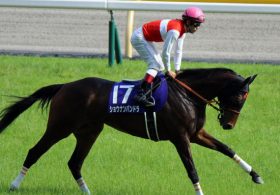 「下剋上」へ超良血馬続々……厩舎史上「最強の布陣」を従え、名牝ショウナンパンドラを送り出した関西の「新鋭厩舎」が来年のクラシックを狙う