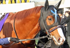 JRA馬主佐々木主浩氏「鞍上ドタバタ劇」の裏側？ 京都大賞典（G2）シュヴァルグランと福永祐一「和解」で弾き出されたアノ騎手の悲劇……