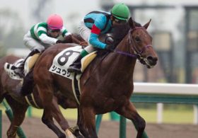 【徹底考察】函館スプリントS（G3） シュウジ「早熟？スプリンター？不振に苦しむシュウジの『本当』の姿とは」