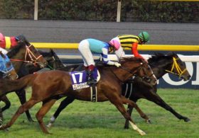 シュヴァルグランの秋ローテーションは「目の上のタンコブ」を意識!? 「まつり」を阻むべく長距離マイスターが爪を研ぐ