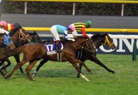 本格化したシュヴァルグランが「生涯最高のデキ」で王者サトノダイヤモンドを迎え撃つ！超A級ステイヤーに起きた見た目にも明らかな「進化」とは