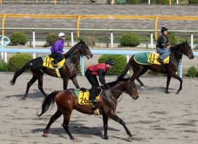 ・2017新馬戦開幕！注目の新種牡馬はオルフェーヴル、 ロードカナロア？ 地方ではエスポワールシチーが好調！2018日本ダービーを目指す熱い戦いに注目！