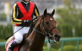 デムーロ騎手の「鬱憤」が爆発寸前!? 最大のライバル・ルメール騎手の「大記録阻止」へ完璧にKOされた「あの時」の雪辱を果たす！