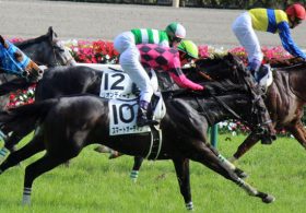 ダービー6着・スマートオーディンが転厩……松田国英調教師とオーナーの間で亀裂？